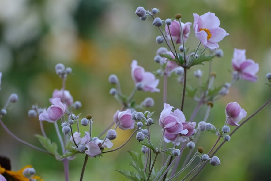 Gardening